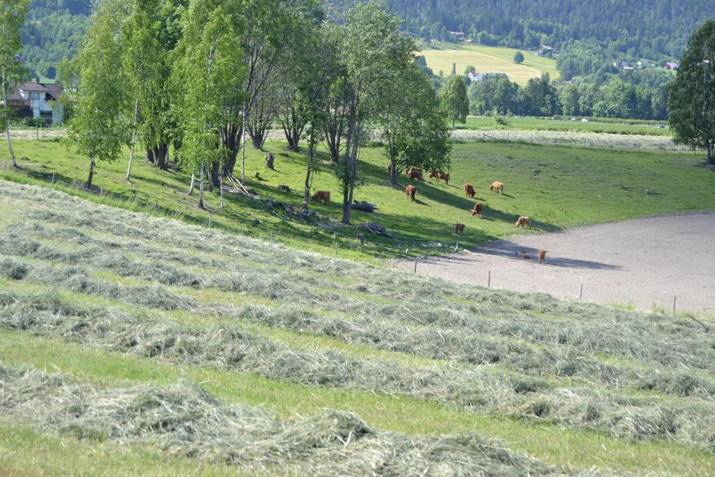 Hotel Renskaug Vertsgard *